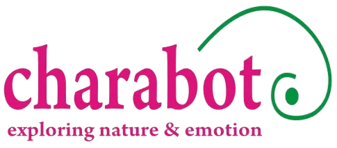 Client Logo 18